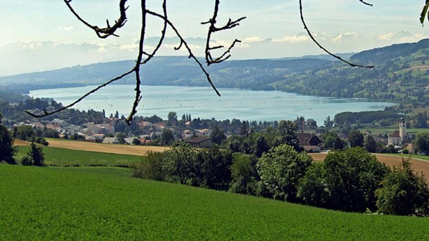 Neubauprojekt Seeblick in Boniswil - Bild 4