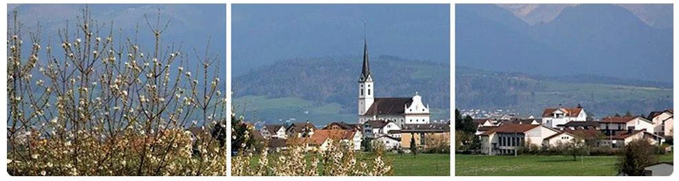 4.5-Zimmer Gartenwohnung mit Pool - Bild 2