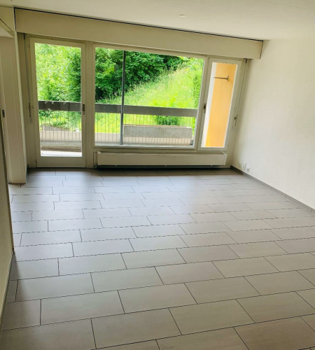 2.5 Zimmerwohnung in  Benziwil
